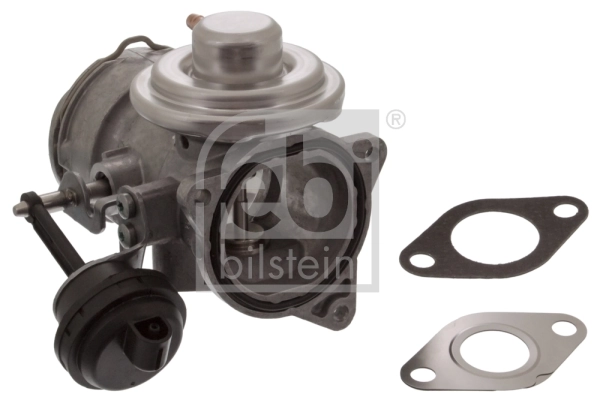 EGR Valve